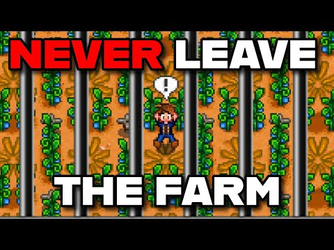 Видео: Я заработал 10 000 000 золота, не покидая ферму в Stardew Valley