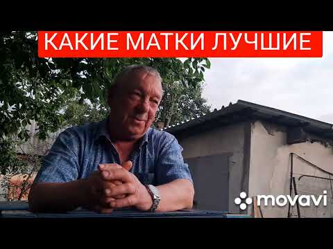 Видео: 31 мая 2025 г.