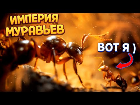 Видео: ИМПЕРИЯ МУРАВЬЕВ ( Empire of the Ants )