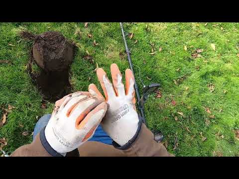 Видео: Глубокие реликвии с Мантикорой. Этот парк ожил.