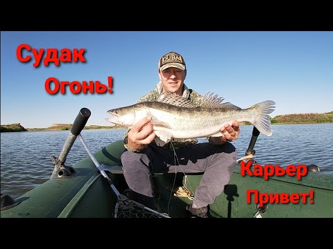 Видео: Рыбалка/Огромные/Судаки