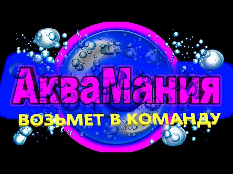 Видео: Поиск единомышленников 🤫