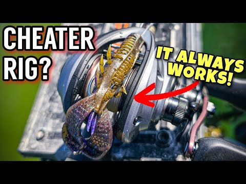 Видео: Техасская оснастка НИКОГДА не подводит! (Осенняя рыбалка на окуня)