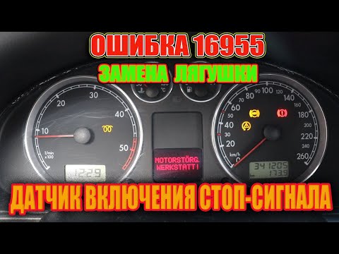 Видео: НЕ ГОРЯТ СТОП СИГНАЛЫ.Volkswagen Passat B5.5 ОШИБКА 16955. РЕШЕНО.