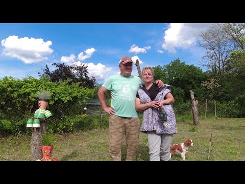 Видео: ЖИВОТ НА СЕЛО :  И като заваля дъжд ,  та цяла неделя ... / Опъваме "платната" на доматите / LINE D5