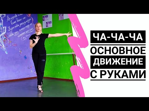 Видео: ЧА-ЧА-ЧА | CHA CHA CHA (основное движение с руками) - Урок бального танца