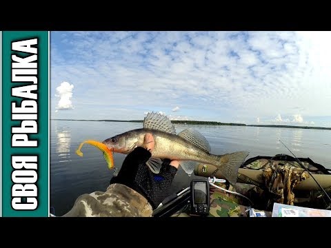 Видео: Рыбалка на джиг Иваньковское водохранилище