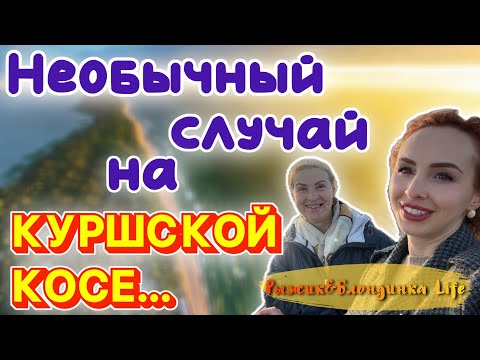 Видео: ВЕЧЕР на Куршской косе 🤩 Закат, атмосфера и… то, чего мы НЕ ОЖИДАЛИ увидеть 🤣🔞