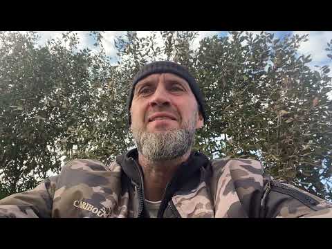 Видео: Гоняли на болото фото ловушку поставили на лису