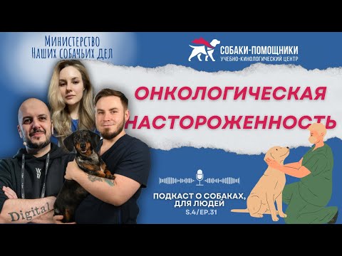 Видео: Ветеринарный хирург-онколог о раке у животных