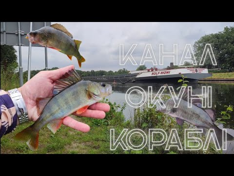 Видео: Канал Окуні Кораблі! Шукаю трофейного ОКУНЯ! Hunting Trophy Perch with Ultralight & Microjig