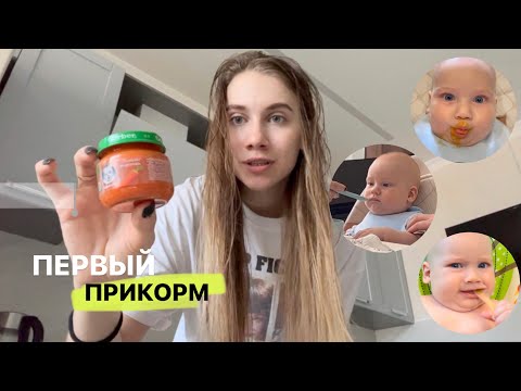 Видео: ПЕРВЫЙ ПРИКОРМ В 5.5 МЕСЯЦЕВ | Наша история | vlog