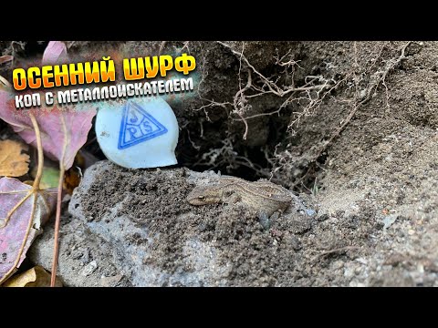 Видео: РАЗРЫЛИ ОЧЕРЕДНУЮ ПОМОЙКУ|КОП С МЕТАЛЛОИСКАТЕЛЕМ