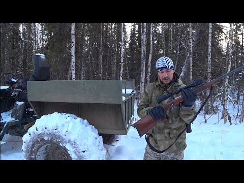 Видео: ОХОТА  НА СЕВЕРЕ / ВОЛКИ ХОЗЯЙНИЧАЮТ НА СВАЛКЕ.