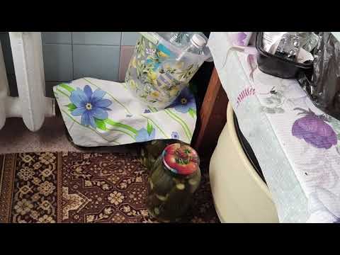 Видео: Все проблемы решаю сама.