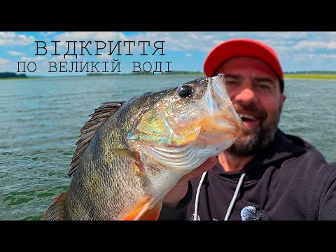 Видео: СУДАКИ та МОРДАТІ ОКУНЯ розривають СІЛІКОН 🎣  Джиг, спінінг, риболовля 2025 /Always with Kruchkoff