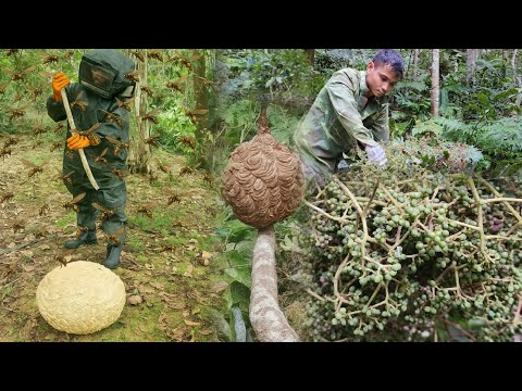 Видео: Генеральный директор отправляется в лес собирать плоды мак-хена и ловить ос на необитаемом острове.