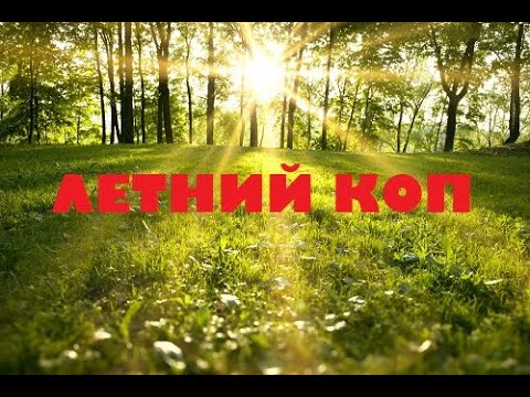 Видео: ЛЕТНИЙ КОП