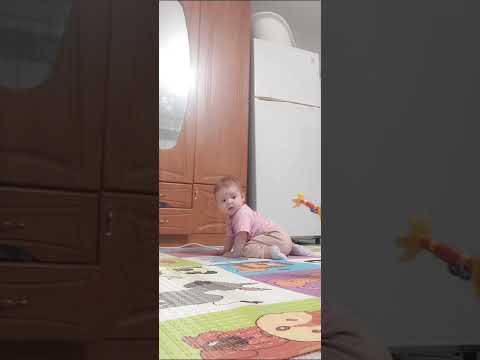 Видео: 26 октября 2025 г.