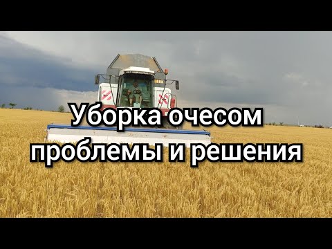 Видео: Уборка 2020. Новые гребёнки. Настройка очесывающей жатки Озон.