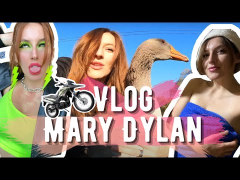 Видео: Vlog №1: Лютая банька, батин автосервис, покатушки, Гусь Петр, калужский рок-бар и другое