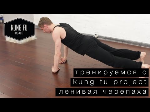 Видео: Тренируемся с Kung Fu Project - Ленивая Черепаха