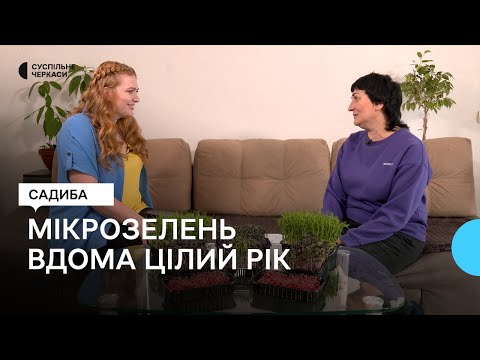 Видео: Вирощуємо мікрозелень: горох, амарант, капусту