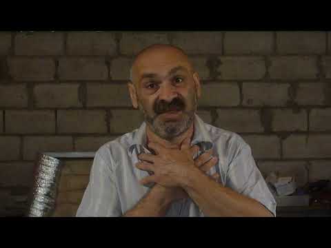 Видео: Лучший и надежный терморегулятор для брудера.