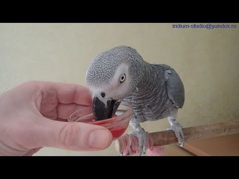 Видео: 1 Апреля - ДР Жана!  Жану 5 лет!