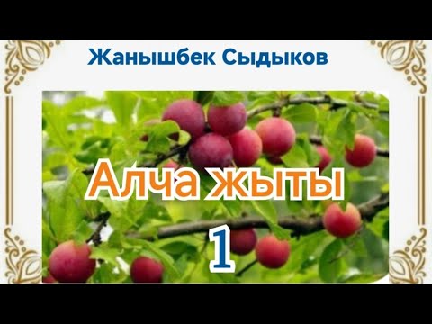 Видео: Жанышбек Сыдыков Алча жыты 1-бөлүм