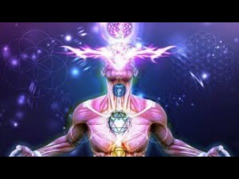 Видео: В чем смысл жизни?