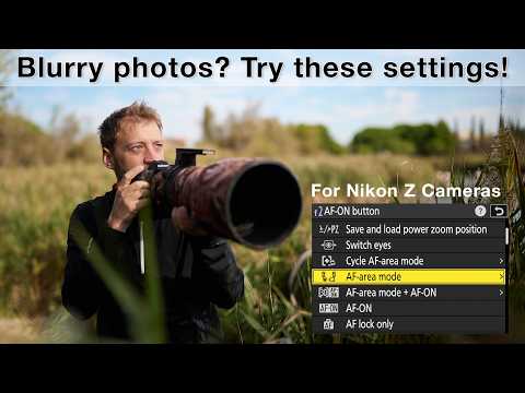 Видео: 7 ВАЖНЫХ советов по автофокусировке для камер Nikon Z — от @nicolas.stettler