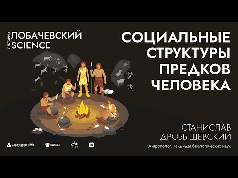 Видео: Лекция Станислава Дробышевского «Социальные структуры предков человека»