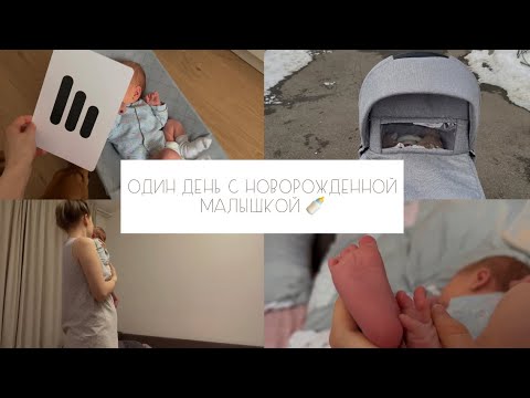 Видео: ДЕНЬ С НОВОРОЖДЁННЫМ 🐣