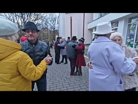 Видео: 2.11.24г..."В Двух шагах от Любви"... Лариса Гордьера... звучит на танцполе в Гомеле...