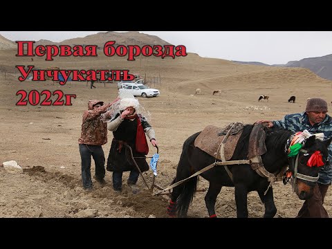 Видео: Первая борозда в селе Унчукатль. 26.03.2022г.