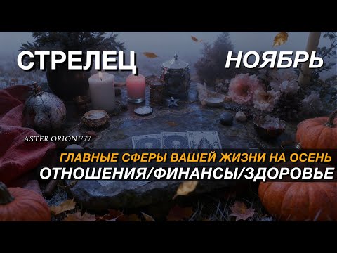 Видео: ♐️ СТРЕЛЕЦ✨️ НОЯБРЬ 2025 ✨️ Все сферы жизни и рекомендации