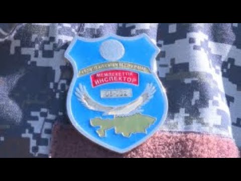 Видео: «Іле - Балқаш» резерватын күзету кезінде орманшылар басын қатерге тігеді