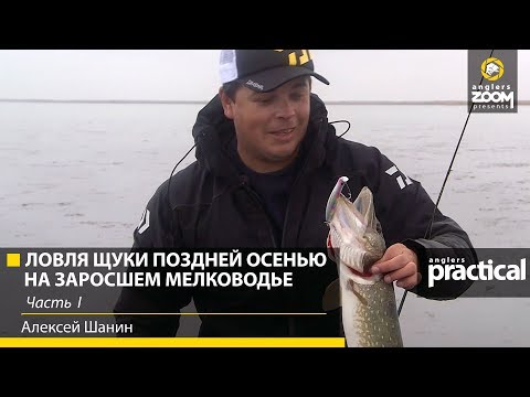 Видео: Ловля щуки воблерами поздней осенью на заросшем мелководье. А. Шанин. Часть 1. Anglers Practical