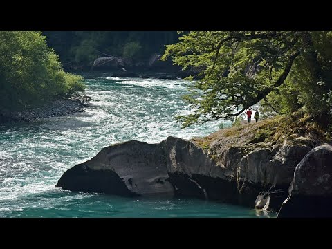 Видео: Перерождение. От старого к новому.