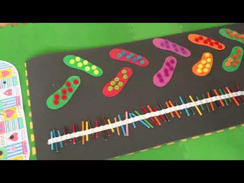 Видео: дорожка здоровья