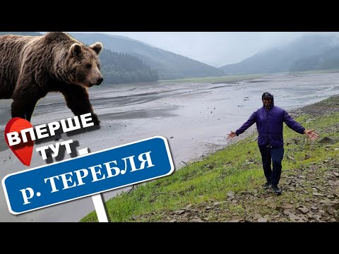 Видео: Річка ТЕРЕБЛЯ.  Ведмеді та Порожнє Водосховище. Рибалка на Закарпатті. Вперше Тут