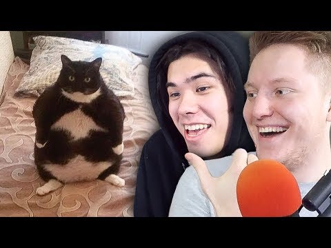 Видео: ЗАСМЕЯЛСЯ - ТЫ ПРОИГРАЛ! ПОКА 2018 ГОД