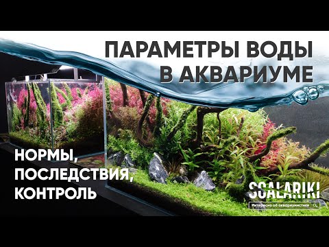 Видео: Основные параметры воды в аквариуме. Нормы. Влияние. Контроль. Полезно для начинающих аквариумистов