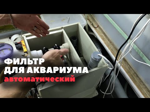 Видео: Фильтр для аквариума, который не нужно обслуживать. Барабанный и биофильтр. Эксперимент.