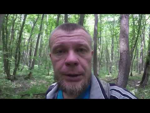 Видео: Страшная находка в лесу