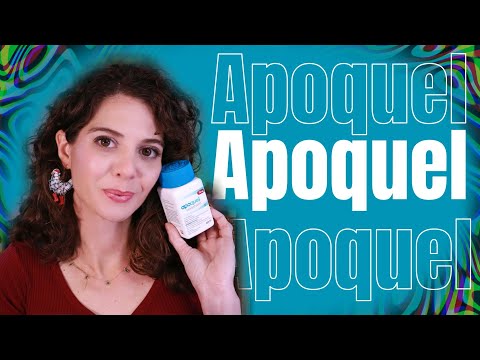 Видео: Ветеринар объясняет, как «Апоквел» и «Цитопоинт» помогают при зуде у собак