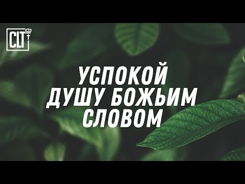 Видео: Засыпай с миром в сердце — Божье Слово для покоя #Библия #Relaxing