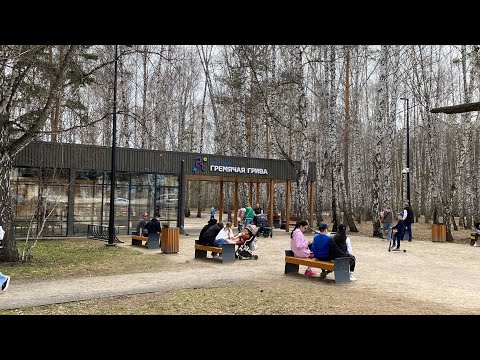 Видео: Прогулка по Эко парку Гремячая грива, Красноярск.