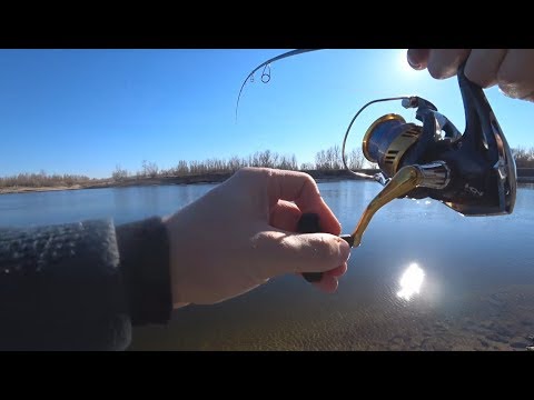 Видео: Эта яма должна работать. Ахтуба ранней весной